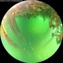 ./images/calvert/underwater/20260613/underwater20260613_122501M.jpg