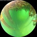 ./images/calvert/underwater/20260613/underwater20260613_123501M.jpg