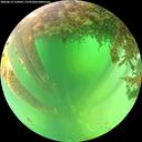 ./images/calvert/underwater/20260613/underwater20260613_124002M.jpg