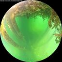 ./images/calvert/underwater/20260613/underwater20260613_124501M.jpg