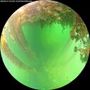 ./images/calvert/underwater/20260613/underwater20260613_131501M.jpg