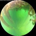 ./images/calvert/underwater/20260613/underwater20260613_132501M.jpg