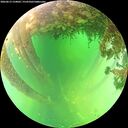 ./images/calvert/underwater/20260613/underwater20260613_134001M.jpg