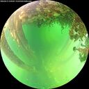 ./images/calvert/underwater/20260613/underwater20260613_134502M.jpg