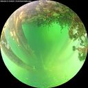 ./images/calvert/underwater/20260613/underwater20260613_135001M.jpg