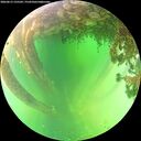 ./images/calvert/underwater/20260613/underwater20260613_135501M.jpg