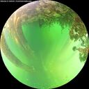 ./images/calvert/underwater/20260613/underwater20260613_140501M.jpg
