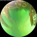 ./images/calvert/underwater/20260613/underwater20260613_142002M.jpg