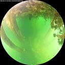 ./images/calvert/underwater/20260613/underwater20260613_142501M.jpg