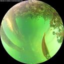 ./images/calvert/underwater/20260613/underwater20260613_144001M.jpg