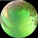 ./images/calvert/underwater/20260613/underwater20260613_144501M.jpg
