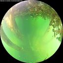 ./images/calvert/underwater/20260613/underwater20260613_145001M.jpg