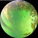 ./images/calvert/underwater/20260613/underwater20260613_151001M.jpg