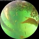 ./images/calvert/underwater/20260613/underwater20260613_151501M.jpg