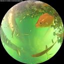 ./images/calvert/underwater/20260613/underwater20260613_152002M.jpg