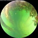./images/calvert/underwater/20260613/underwater20260613_152501M.jpg