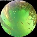 ./images/calvert/underwater/20260613/underwater20260613_153501M.jpg