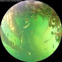 ./images/calvert/underwater/20260613/underwater20260613_154501M.jpg