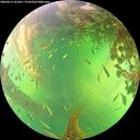 ./images/calvert/underwater/20260613/underwater20260613_161001M.jpg