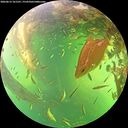 ./images/calvert/underwater/20260613/underwater20260613_161501M.jpg