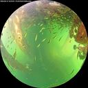 ./images/calvert/underwater/20260613/underwater20260613_162501M.jpg