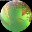 ./images/calvert/underwater/20260613/underwater20260613_163001M.jpg