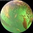 ./images/calvert/underwater/20260613/underwater20260613_163501M.jpg