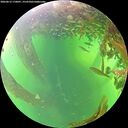 ./images/calvert/underwater/20260613/underwater20260613_170001M.jpg