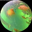 ./images/calvert/underwater/20260613/underwater20260613_170502M.jpg