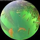./images/calvert/underwater/20260613/underwater20260613_171502M.jpg