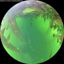 ./images/calvert/underwater/20260613/underwater20260613_172501M.jpg