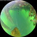 ./images/calvert/underwater/20260613/underwater20260613_174002M.jpg
