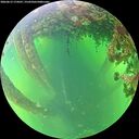 ./images/calvert/underwater/20260613/underwater20260613_174501M.jpg