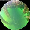 ./images/calvert/underwater/20260613/underwater20260613_181001M.jpg