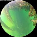 ./images/calvert/underwater/20260613/underwater20260613_184501M.jpg