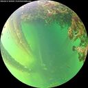 ./images/calvert/underwater/20260613/underwater20260613_185002M.jpg