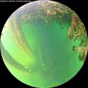 ./images/calvert/underwater/20260613/underwater20260613_185501M.jpg