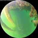 ./images/calvert/underwater/20260613/underwater20260613_191502M.jpg
