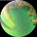 ./images/calvert/underwater/20260613/underwater20260613_192001M.jpg