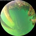 ./images/calvert/underwater/20260613/underwater20260613_192501M.jpg
