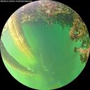 ./images/calvert/underwater/20260613/underwater20260613_193501M.jpg