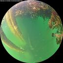 ./images/calvert/underwater/20260613/underwater20260613_195001M.jpg