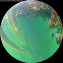 ./images/calvert/underwater/20260613/underwater20260613_200001M.jpg