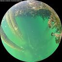 ./images/calvert/underwater/20260613/underwater20260613_200502M.jpg
