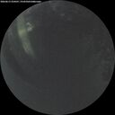 ./images/calvert/underwater/20260613/underwater20260613_224501M.jpg