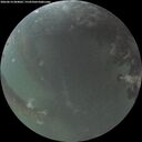./images/calvert/underwater/20260614/underwater20260614_044001M.jpg