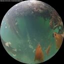 ./images/calvert/underwater/20260614/underwater20260614_051501M.jpg