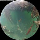 ./images/calvert/underwater/20260614/underwater20260614_052002M.jpg