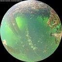 ./images/calvert/underwater/20260614/underwater20260614_065001M.jpg