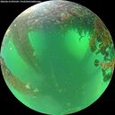 ./images/calvert/underwater/20260614/underwater20260614_095501M.jpg